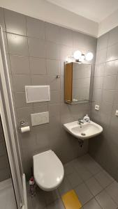 a bathroom with a toilet and a sink at Apartmán Kovárna in Prášily