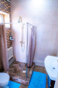 a bathroom with a shower and a toilet and a sink at Guest House EtnoDom in Jalal-Abad