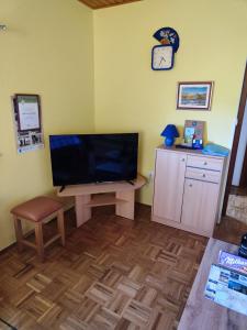 sala de estar con TV de pantalla plana grande en Apartmaji Alenka, en Bled