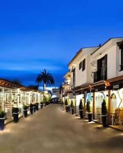 a street with a row of buildings and a palm tree at Marina Beach Aiguadolç Sitges in Sitges