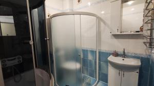 a bathroom with a shower and a sink at Запорізька 19 City Rooms in Bila Tserkva