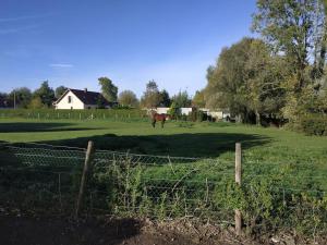 Zwierzęta w apartamencie lub w pobliżu