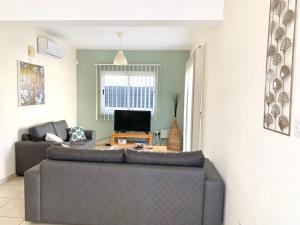 a living room with a couch and a tv at Villa Agnes in Ayia Napa