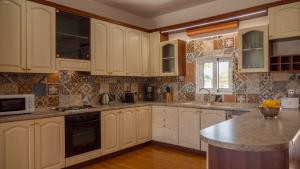 Kuchyň nebo kuchyňský kout v ubytování Zizi Sea View Villa