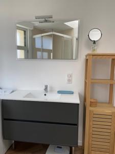 een badkamer met een wastafel en een spiegel bij Le Duplex du Cours de Verdun in Arras