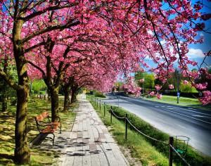 Fotografia z galérie ubytovania Villa Zala v Zalakarose
