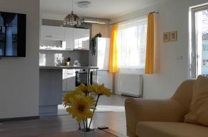 O bucătărie sau chicinetă la Rodinný apartmán Lucie v blízkosti Wellness hotelu ve Frymburku +7 fotografii