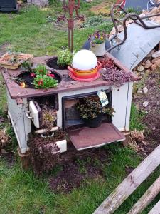 a play house with plants on top of it at Strandhaus in Neubukow