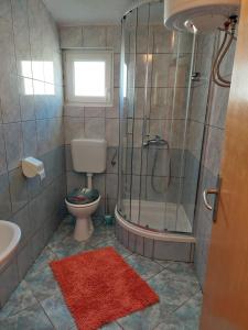 a bathroom with a shower and a toilet and a sink at Apartmani Orešković in Kustići