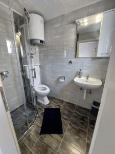 a bathroom with a shower and a sink and a toilet at Apartmani Orešković in Kustići