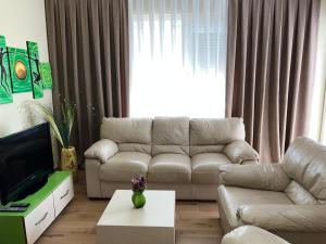 a living room with a couch and a tv at Skampini Qerret Apartments in Golem