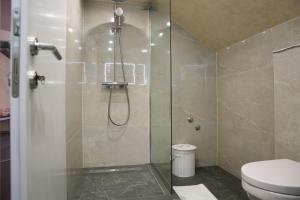 ein Bad mit einer Dusche und einem WC in der Unterkunft Sobe Opačak in Slavonski Brod