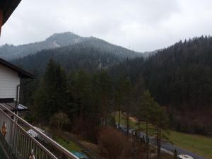 von einem Balkon eines Hauses mit Bergblick in der Unterkunft MariazellKernboden in Gusswerk