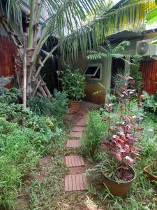 a garden with plants and a walkway at Studio de jardin - Chez Amex et Fla in Mamoudzou