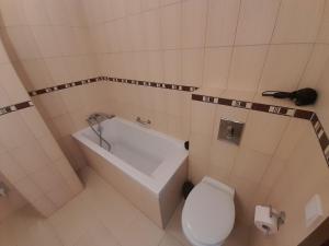 Kúpeľňa v ubytovaní Wellness Apartman