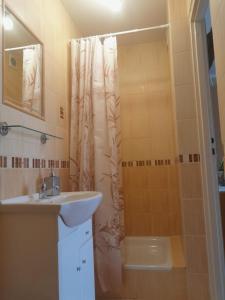 W łazience znajduje się umywalka oraz prysznic z zasłoną prysznicową. w obiekcie Adamowo w mieście Uherce Mineralne (7)