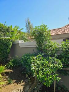 un jardín con una pared de retención y plantas en Three Stones Executive Apartments en Maseru