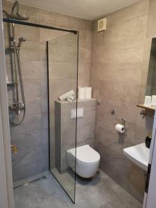 La salle de bains est pourvue d'une douche, de toilettes et d'un lavabo. dans l'établissement Marinovi dvori, à Slatine