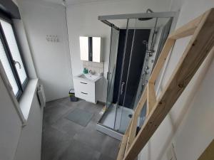 a bathroom with a walk in shower and a sink at Maison en centre-ville in Petite Flandre