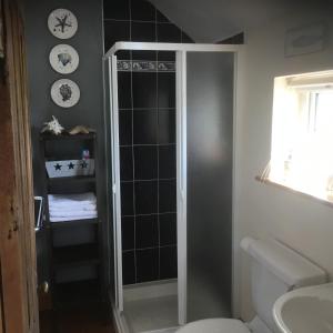 een badkamer met een douche, een toilet en een wastafel bij Dromelihy House Stud in Doonbeg