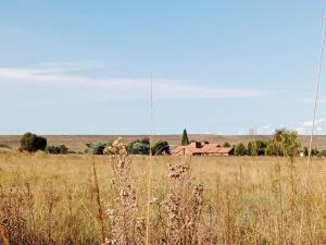 a field of tall grass with a house in the background at Nakhah Guesthouse - Private Interior in eMalahleni