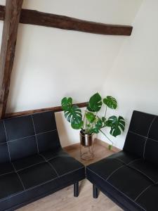 Posezení v ubytování Albergue de peregrinos Compostela