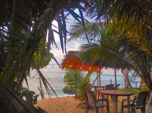 a group of tables and chairs on the beach at Blue Corals Beach Bungalow in Madihe East