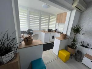 a kitchen with white cabinets and plants in it at Urban 1 - Apartment for modern nomads in Skopje
