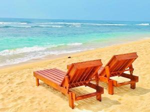 two wooden chairs sitting on a beach near the ocean at Blue Corals Beach Bungalow in Madihe East
