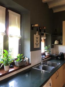 uma cozinha com um lavatório de aço inoxidável e uma janela em Masia Quelet em La Vall de Bianya