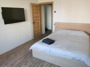 a bedroom with a bed and a flat screen tv at Lion Stay in Tartu