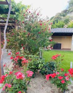 A garden outside Villa Oceanview Vicky