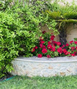 A garden outside Villa Oceanview Vicky