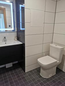 a bathroom with a toilet and a sink at Lion Stay in Tartu