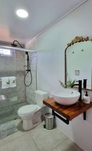 a bathroom with a sink and a toilet and a shower at Casita Bohemia (Tiny House) in Fortuna