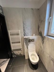 een badkamer met een wit toilet in een kamer bij Old city fortress exceptional place Cosmanu in Timişoara