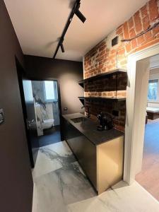 a kitchen with a sink and a brick wall at Old city fortress exceptional place Cosmanu in Timişoara