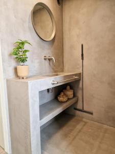 a bathroom with a sink with a mirror and a plant at De Hofstee in Maastricht