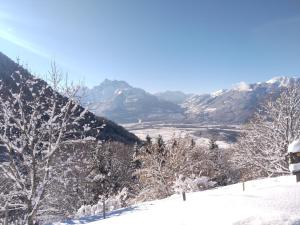 a snow covered mountain with trees and a valley at Appartement panex sur ollon / proche Villars in Ollon