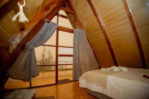 a room with a bed and a large window at GLAMPING NAKAMA Cajamarca in Cajamarca