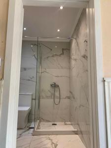 een badkamer met een glazen douche en een toilet bij Hotel Villa Anais in Prinos