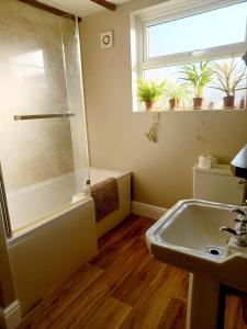 a bathroom with a shower and a sink and a window at 200m AOSB Cottage in Westbury in Westbury