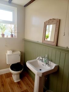 La salle de bains est pourvue d'un lavabo, de toilettes et d'un miroir. dans l'établissement 200m AOSB Cottage in Westbury, à Westbury