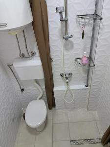 a small bathroom with a toilet and a shower at Dvoriste Danguba in Nova Pazova