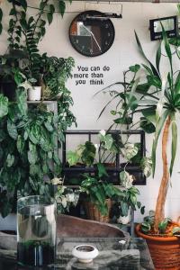 Your Home AYUTTHAYA ยัวร์โฮม في فرا ناخون سي أيوتثايا: مجموعة من النباتات الفخارية على الحائط مع طاولة