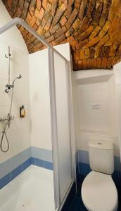 a bathroom with a toilet and a shower at Express Guest House in Klaipėda