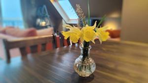 Fotografie z fotogalerie ubytování Achalochan House v destinaci Ose