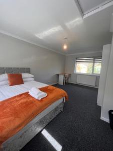 a bedroom with a bed with orange sheets and a window at The Coral 66 Guest House Southampton in Southampton