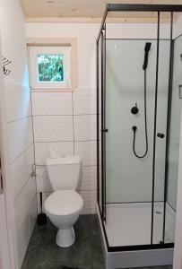 a bathroom with a toilet and a shower at Owocowe Wakacje - Domek nad jeziorem in Mikołajki