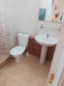 un baño con inodoro y lavabo en Casa Ocas 2 barbacoas y chimenea, en Orihuela